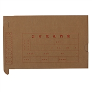 立信 凭证档案纸盒 20K  2994