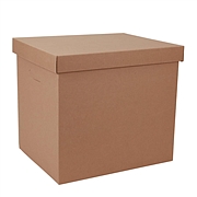 东迅 瓦楞纸制保管盒 (原色) 2个/包  DX-FB600L