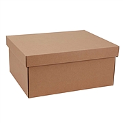 东迅 瓦楞纸制保管盒 (原色) 2个/包  DX-FB600M