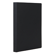 东迅 D型纸质文件夹 (黑色) A4 2孔D型夹  DX-FR402