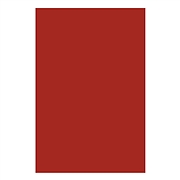 日磁蕾 磁片 (红色) A4  200*300